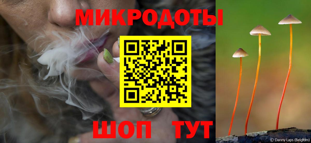 Псилоцибиновые грибы GOLDEN TEACHER Москва