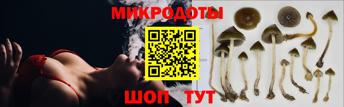 Москва  Псилоцибиновые грибы мухоморы  Вход с VPN  Псилоцибиновые грибы MAGIC MUSHROOMS 